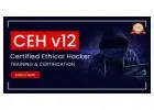 Certified Ethical Hacking Training