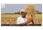 Best NGOs Working For Farmers in India | Search NGO
