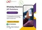 Empower Your Business: Benefits of WhatsApp Business API
