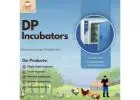  Choose DP Appliances for Reliable Egg Incubators and Solutions in Poultry Farming