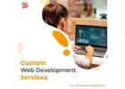 Custom Web Development Services