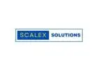 Business Mentoring Service In Delhi | Scalex Solutions