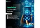 Empower Your Business with Mobiloitte Hyperledger Development Services