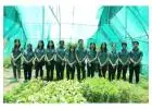 Sai Group of Institutions - Best Horticulture College in Dehradun