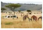 Experience Affordable East African Paradise Safaris Tour Package