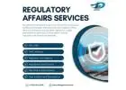 Regulatory Services in Japan