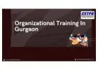 Navigating Success: Strategies for Effective Organizational Training in Gurgaon