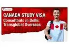 Canada Study Visa Consultants in Delhi - Transglobal Overseas 