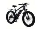 Fat tire Electric bike for sale 