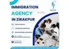 Immigration Agency in Zirakpur