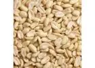 Prominent Manufacturer, Supplier, and Exporter of Blanched Peanuts in India. Badani Corporation 