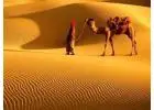 Rajasthan Tour Packages- ExploreThe Best Of The Regal Land