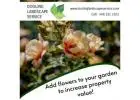 Add flowers to your garden to increase property value!