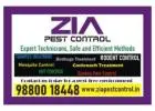 Bedbug Treatment services in bangalore | Zia Pest Control  | 1812