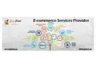 Empower Your Business with eCommerce Service Provider in Delhi