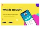  What is Minimum Viable Product (MVP)?