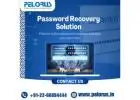 Password Recovery Solution