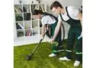 Carpet Cleaning Poole