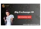 Get Quick Withdrawal Big Exchange ID