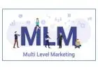 Best MLM Software in india at Focus MLM Software in 2024