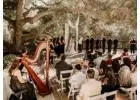 Discover Top Wedding Venues in Los Angeles for Your Dream Wedding