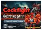 Cockfight Betting App Development Company in The USA