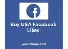 Buy USA Facebook Likes for Drive American Engagement