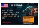 Hostbillo's Summer Sale: Get Flat 50% off on Linux Hosting in USA 