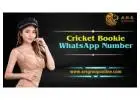 Trusted Cricket Betting WhatsApp Number 2024