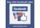 Buy USA Facebook Likes To Get Reach in US Market