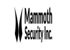 Mammoth Security Inc. Norwalk