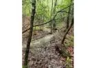 Buy 4 Acres Mountain Land in North Carolina - Your Dream Property Awaits