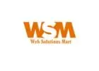 Best Digital Marketing Company In Delhi NCR - Web Solutions Mart 