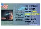 Buy Higher Uptime Linux Shared Hosting in USA at a Cheap Rate: Hostbillo