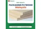 Premium Packaging Plywood Solutions | VitaWood Global