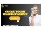 Looking for Cricket Bookie Whatsapp Number