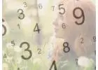 Introduction to the key numbers in numerology