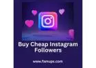 Buy Cheap Instagram Followers by Using Famups Service