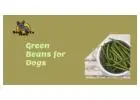 Examining the Discourse: Are Dogs Safe to Eat Green Beans?