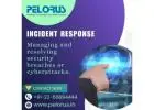 Incident Response|forensics audit