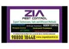 Cockroach Treatment Price List Rs. 1200 to Rs. 4500/- | Zia Pest Control | 1831