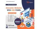 Elevate Your Online Presence with Dynamic Websites and Smart CMS