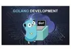 Elevating Excellence with Golang Development Services in Florida  