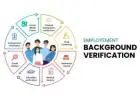 Comprehensive Background Verification Services by Corporate Investigations India