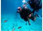Check Out Top 17 Most Effective Benefits of Scuba Diving