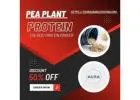 Buy Pea Plant Protein Powder Online