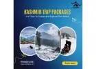 Explore the Paradise: Best Kashmir Tour Packages