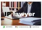 IP Lawyer