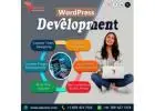 Premier and Budget-Friendly WordPress Development Company in India!