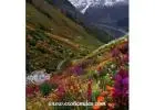 Valley of Flowers Package from Govindghat